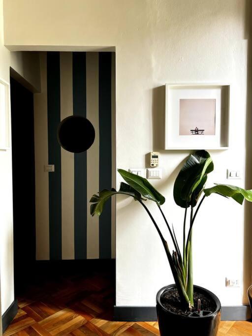 Lavi' Suite Elegante Centrale Luminoso Turín Exteriér fotografie